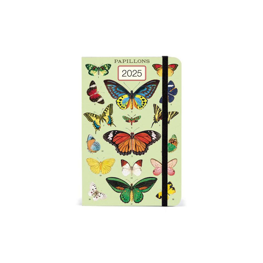 Fashion Accessories, Cavallini, Planners, Art & School, 2025, Weekly, Butterflies, 806790